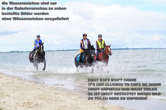 s_K3F05097.JPG